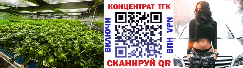 купить закладку  Лесной  Дистиллят ТГК THC oil 
